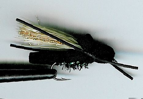 LouieРІР‚в„ўs NZ Cicada | Fly Tying Contest