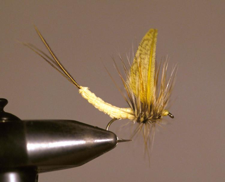 Eastern Green Drake - Coldwater Species - Fly Tying