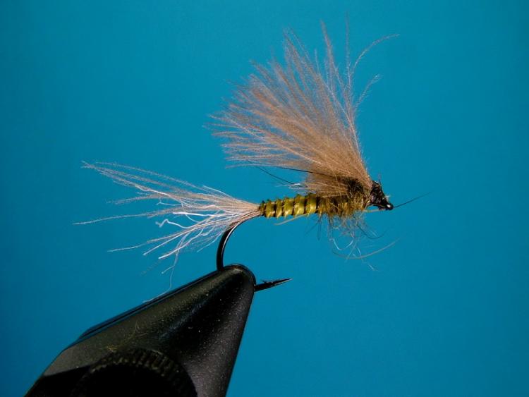 bwo emerger dun - Coldwater Species - Fly Tying