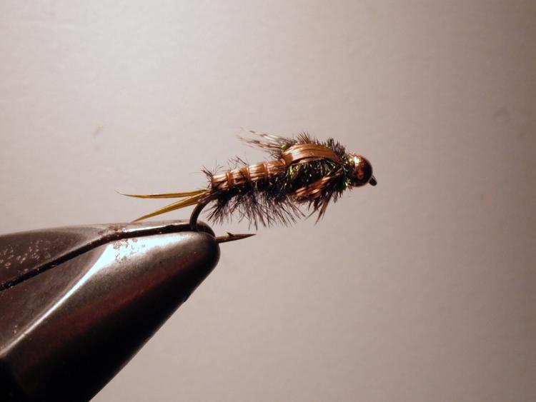Western Green Drake Nymph - Coldwater Species - Fly Tying