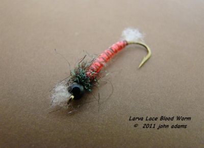 Fly Fishing Forums - Bloodworm Pattern