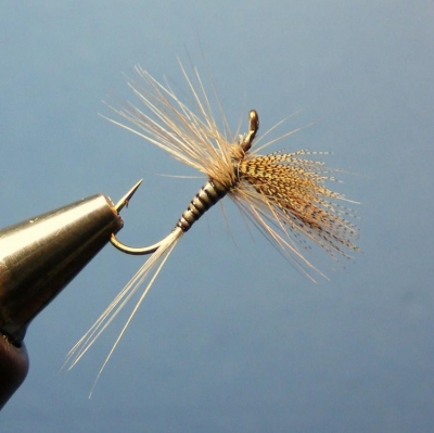FTF Fly Pattern - FlySlinger - Quil Gordon Dry Fly - Coldwater Species ...